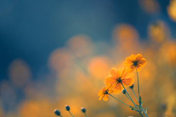 中国人早餐吃什么？