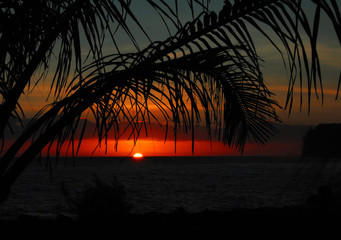 大班体育活动教学反思