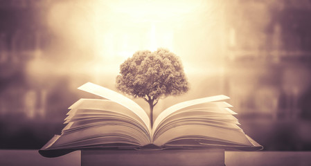 水果脑筋急转弯