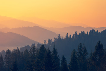 中国人早餐吃什么？