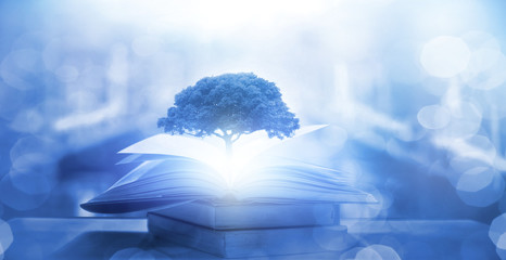 游泳六大注意事项