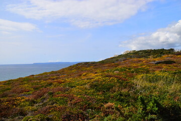 水果脑筋急转弯
