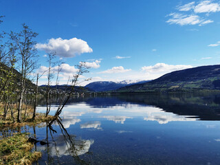 英语骂人的13个单词