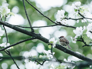 宇宙的未来结局是怎样的？
