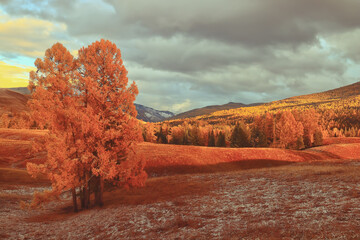 宇宙的未来结局是怎样的？