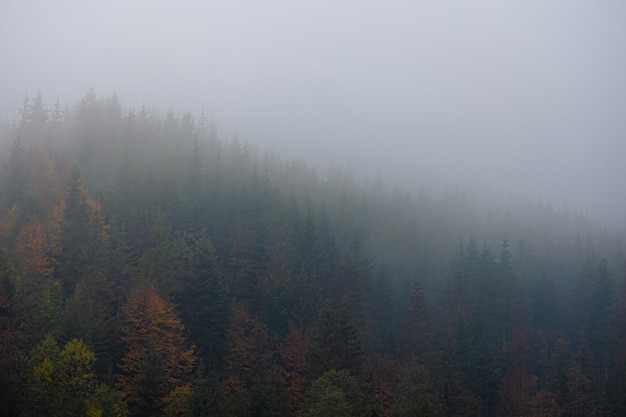 早上心情不好发朋友圈的句子44句