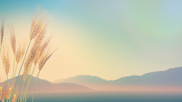 二年级科技创新小制作