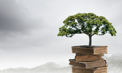 高效记忆的10个方法