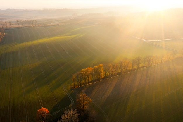 早上心情不好发朋友圈的句子44句