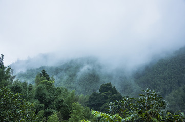 中国人早餐吃什么？